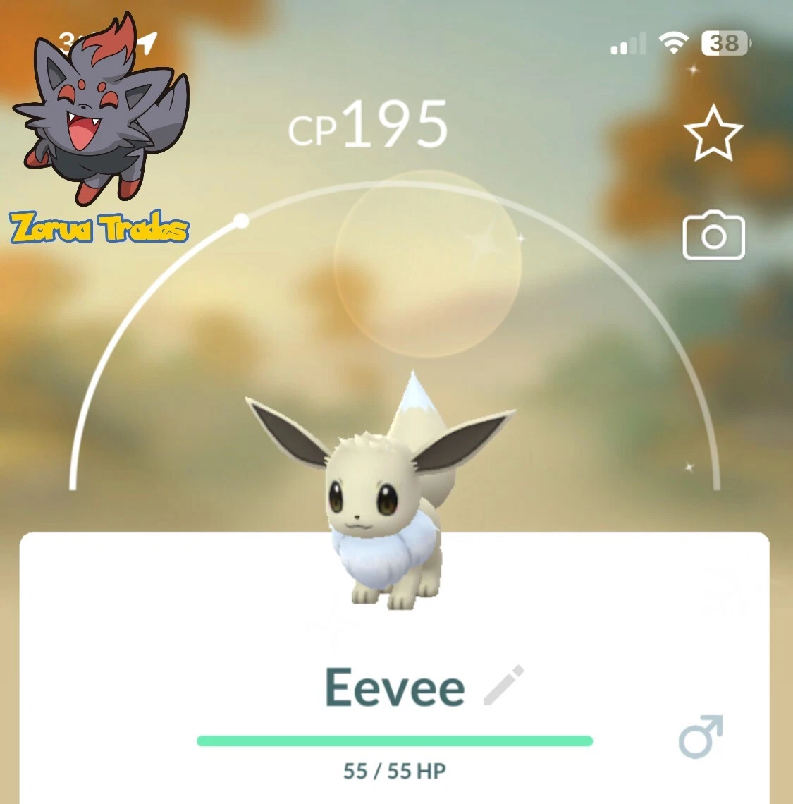 Pokémon GO - Shiny Eevee & Evolutions | 30-Day or registered trade