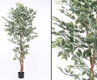 Kunstbaum Ficus Benjamini GrüN-Weisse BläTter HöHe 150Cm Von Ibizanos