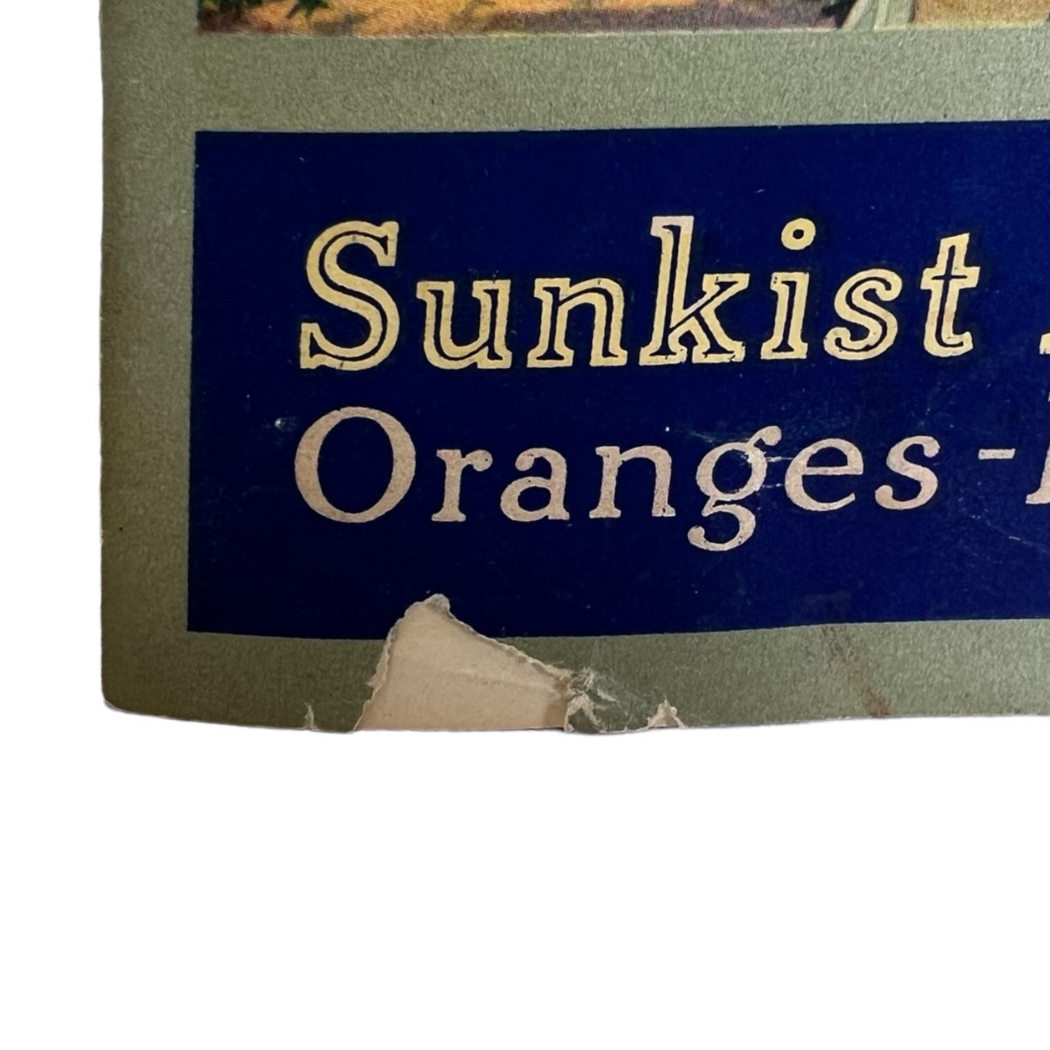 1916 SUNKIST ORANGE AND LEMON RECIPES BOOKLET