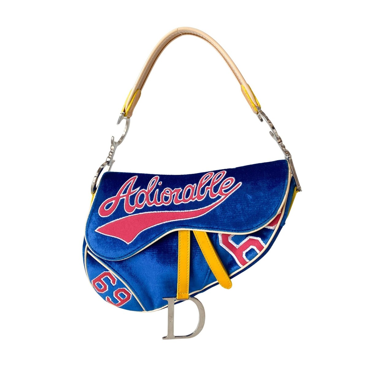 DIOR Limited Edition Saddle 