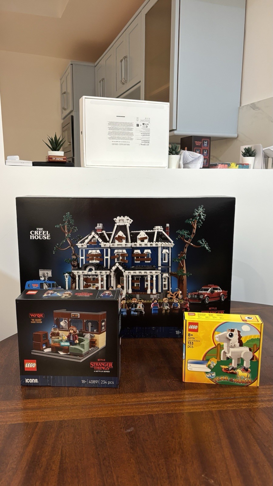 LEGO Stranger Things 11370 Jeu Construction Creel House Adulte
