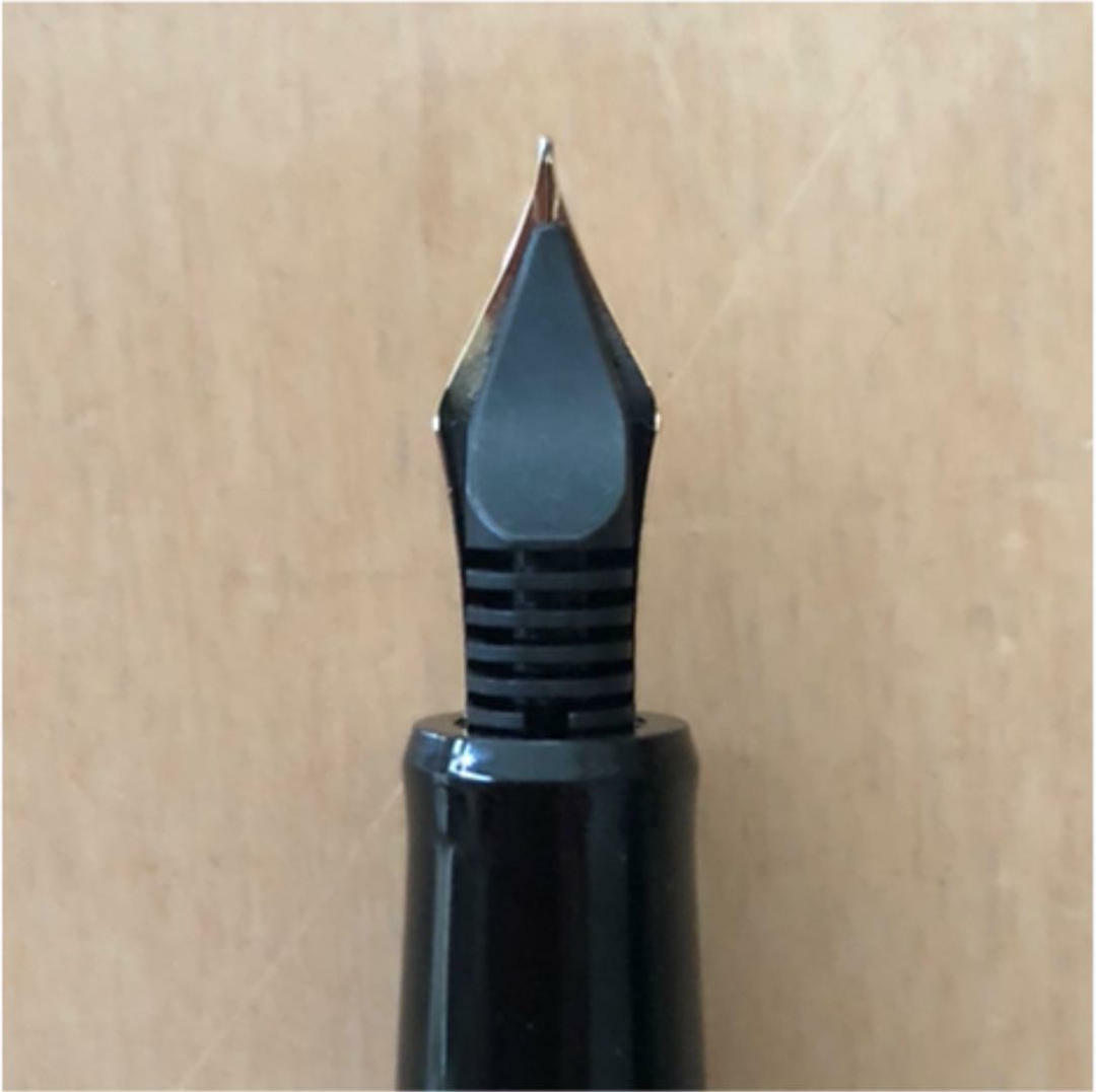 PILOT CUSTOM 67 fountain pen 14K-585 | eBay