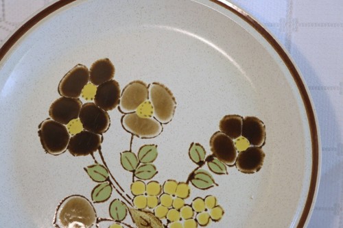 HEARTHSIDE FOLIAGE TIME JAPAN STONEWARE 20 Piece Set 5 Pc Plc Set Service for 4 - Picture 5 of 7