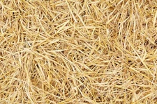 Straw Bedding For Rabbits, Guinea Pig, Chinchilla, Goat, Horse MANY SIZES