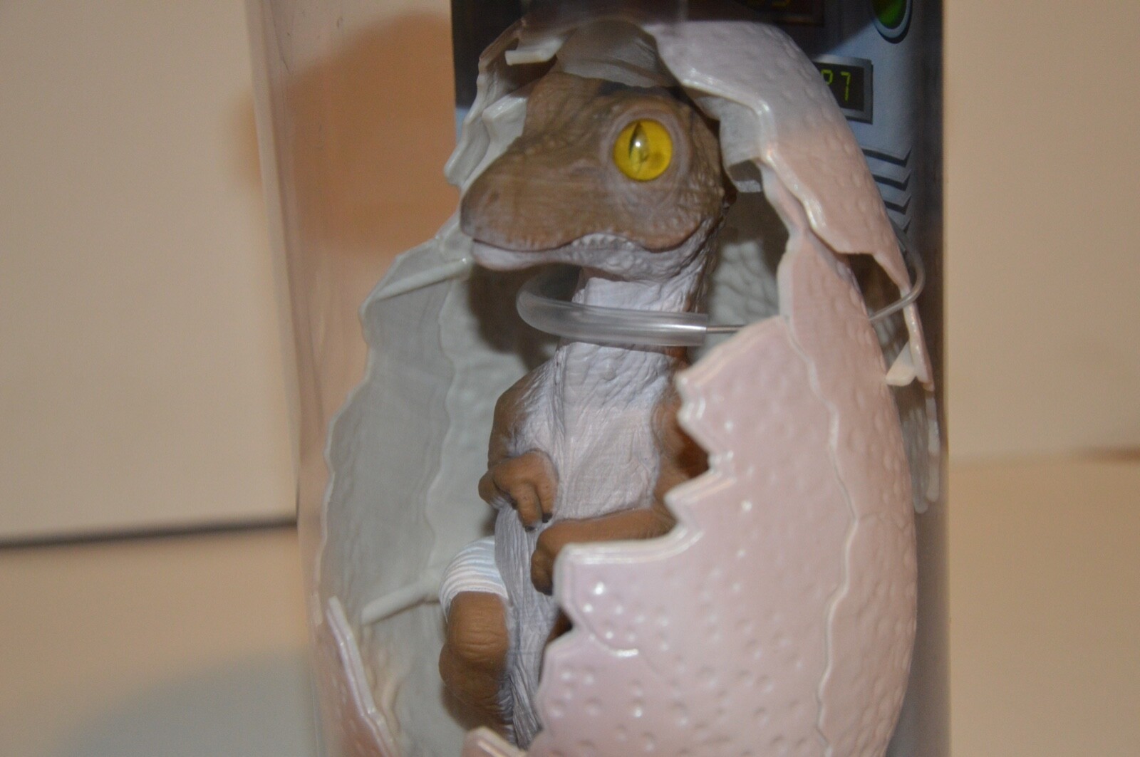 Bild 8 von 12