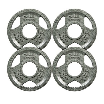 Cast Iron Weight Plates for Strength Training, Fits 2-Inch Barbell,2.5LB × 4