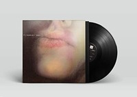 Harvey - Dry 180G - Vinyl Record Lp - G3Z