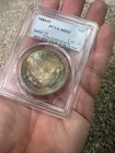 *1884 O* MORGAN DOLLAR END OF PAPER ROLL TONING! REVERSE COLOR! MS62 Pcgs