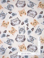 Cat Kitten Faces Kitties Cream Cotton Fabric Timeless Treasures C5752 By Yard
