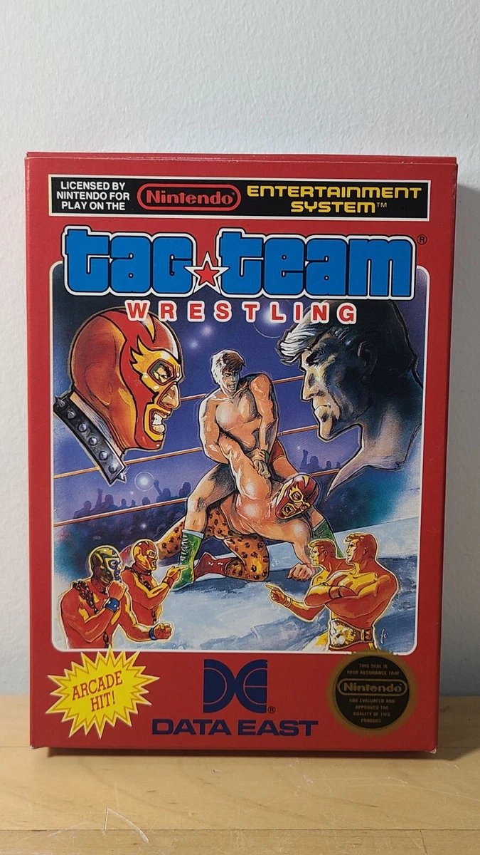 Tag team 2024 wrestling nes