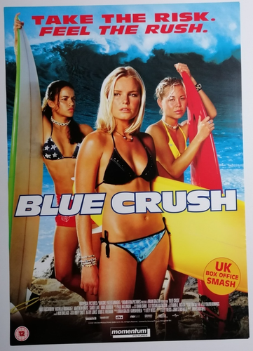 Blue Crush 2002 Promo Video Shop Original Movie Poster - Bild 2 von 2