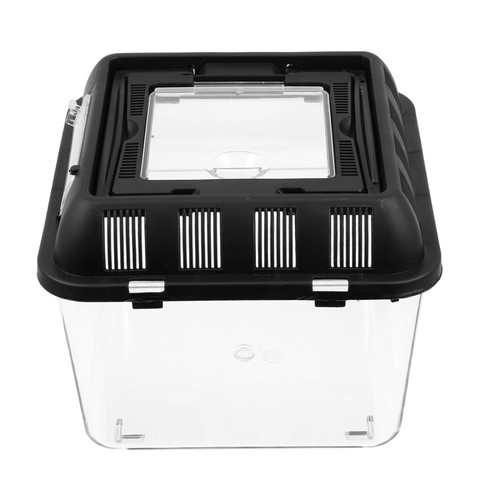 Reptile Pet Terrarium Container Feeding Boxes for Jumping Spiders | eBay