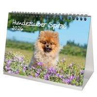 Hundezauber Spitze Din A5 Tischkalender FüR 2026 Welpen Und Hunde - Seelenzauber