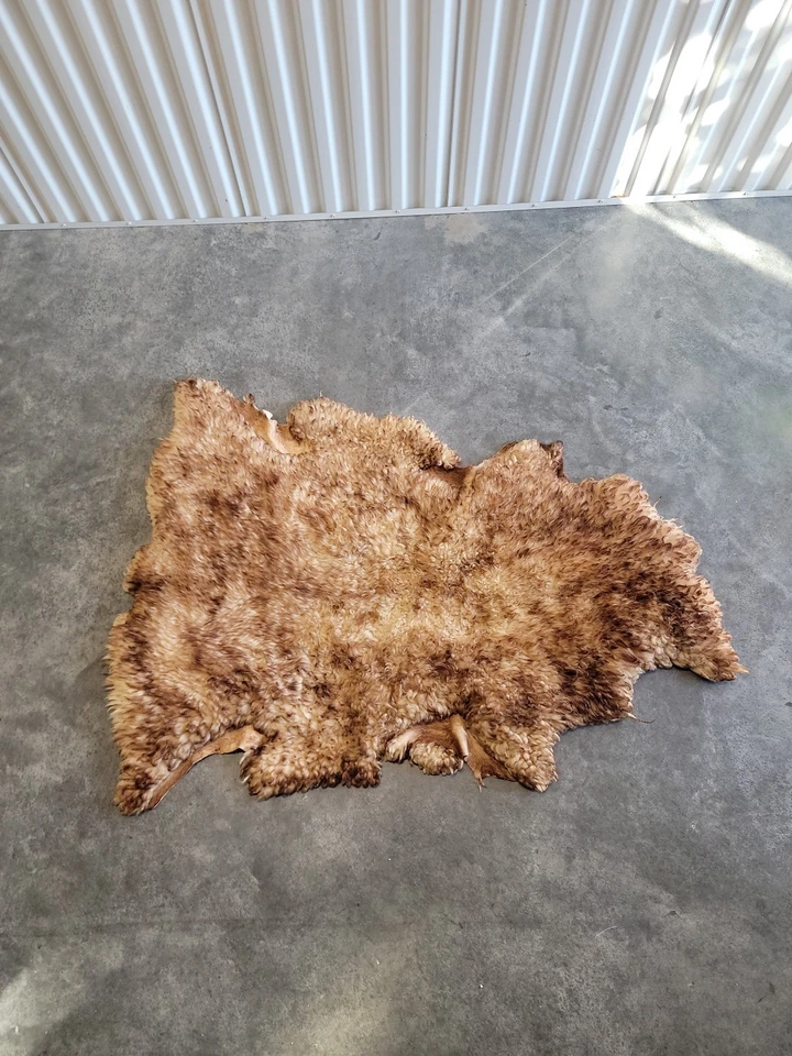 "Alfombra de piel de oveja natural amarillo cremoso con puntas de chocolate ~ 48"" x 33""" Foto 2 de 4