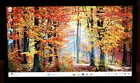 Bild 7 von 12
