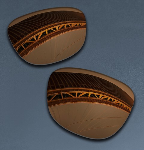 POLARIZED Replacement Lenses for Oakley Frogskins 24-240 55mm Sunglasses UV400 - 第 11/23 張圖片