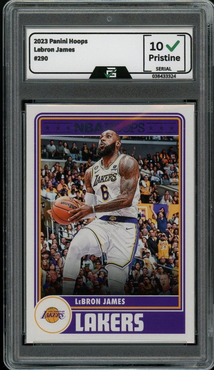 lebron james nba hoops