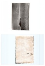 (5476a12)   Kreuzer Emden Weltreise 1930/1931,  Fotos auf Karton vorder und