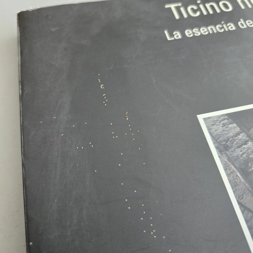 Ticino Hoy La Esencia de Habitar Museo Espanol Vtg Spanish Architecture Book HTF - Image 2 of 4