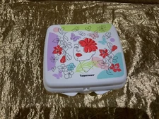 New Tupperware Sandwich Keeper in a Bright and Beautiful Woman of Today Theme