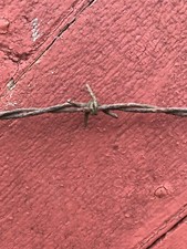 Vintage Barb Wire Four Prong Twisted Weathered Rustic Used Farm 12 Inches