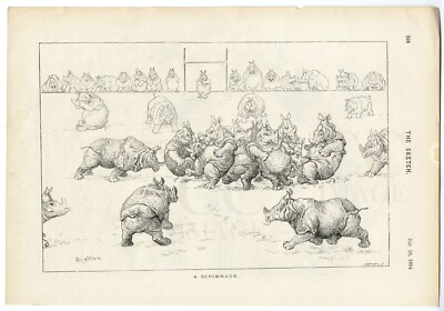1894 antiker Druck LOUIS WAIN Rugby SCRUM Scrimmage RHINO Nashorn VICTORIAN