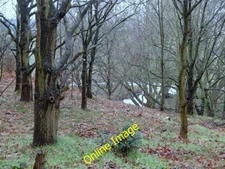 Photo 6x4 Woodland and glimpse of the River Maun New Ollerton A woodland  c2013