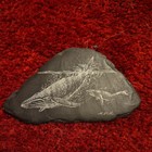 Rare Early Slate Art from Iolani Palace humpback whale art  Engraving – Fire Era — photo 1