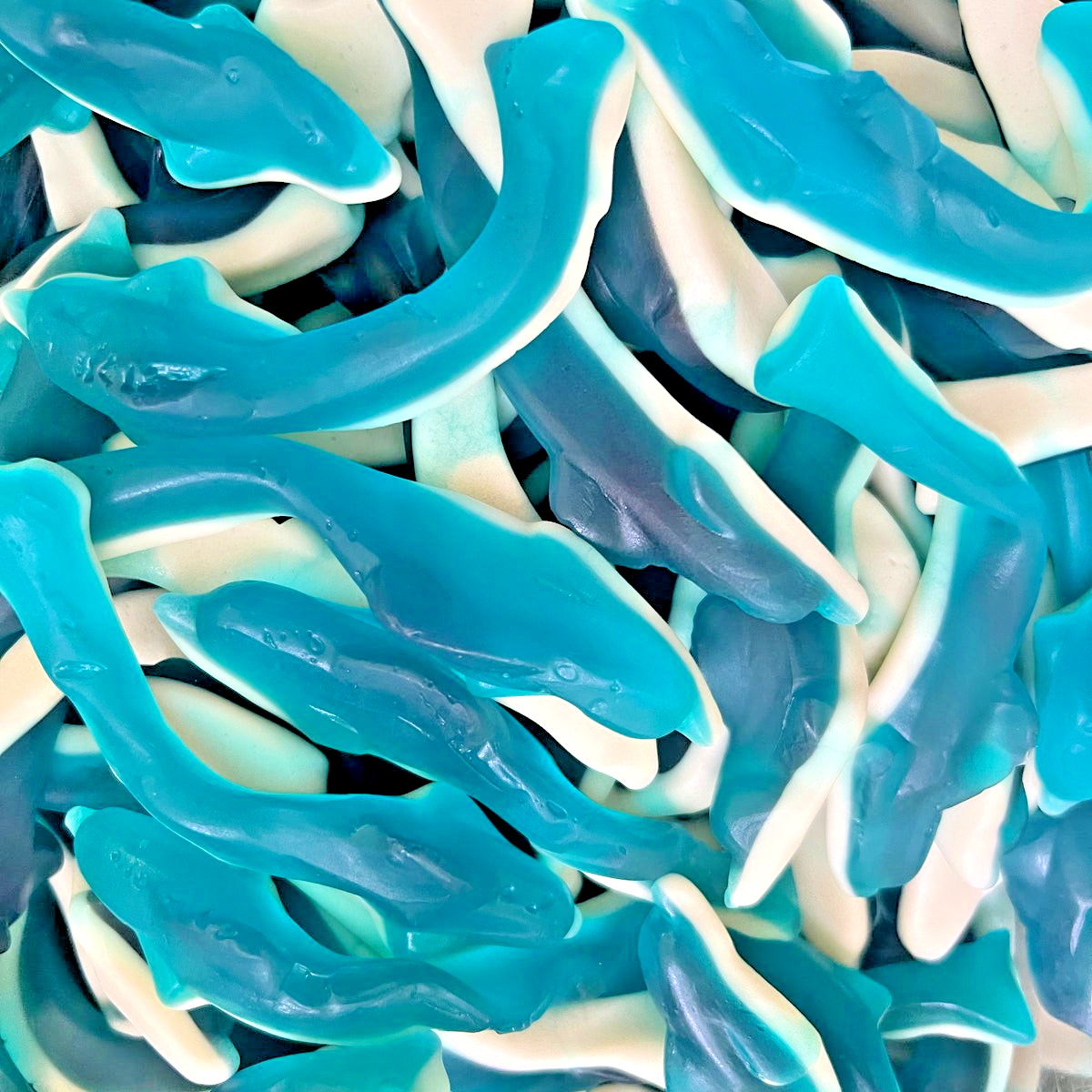 1kg Large Blue Jelly Sharks Halal Gummy Jellies Party Bags Carts Aladdin Sweets