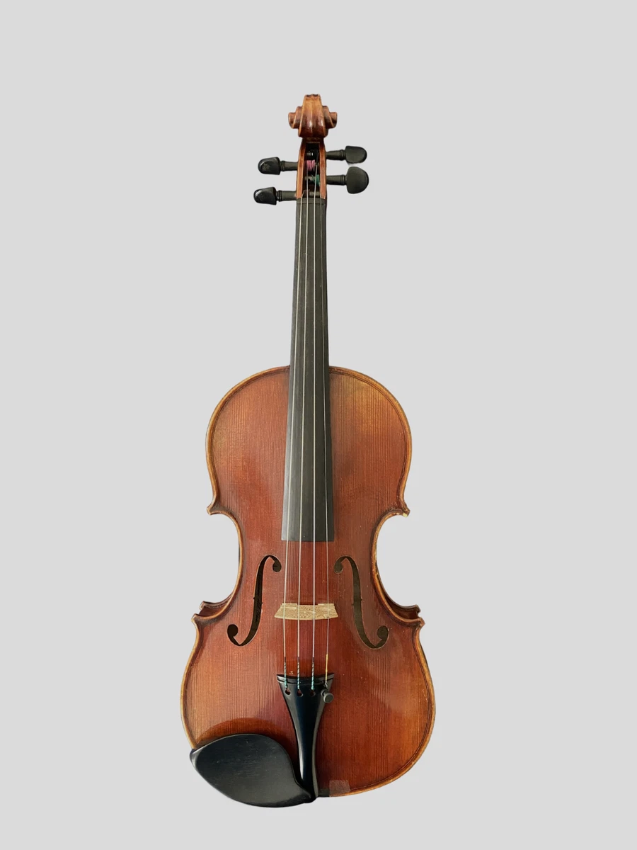 Eastman Orchestral String Instruments for sale | eBay