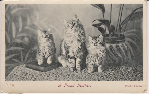 Cats Vintage Postcard 1907 A Proud Mother Landor - Picture 1 of 2