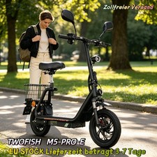 48V13AH Mit Straßenzulassung E-Scooter 12"TWOFISH M5 PRO-E Elektroroller