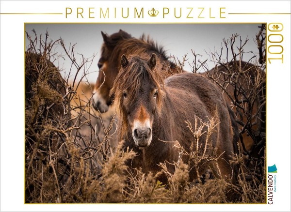 Calvendo Puzzle Wildes, Rauhes Pferdeleben | 1000 Teile Lege-GrößE 64X48Cm Foto--image