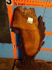 A655 1" THICK black walnut live edge slab shelf table bench rustic