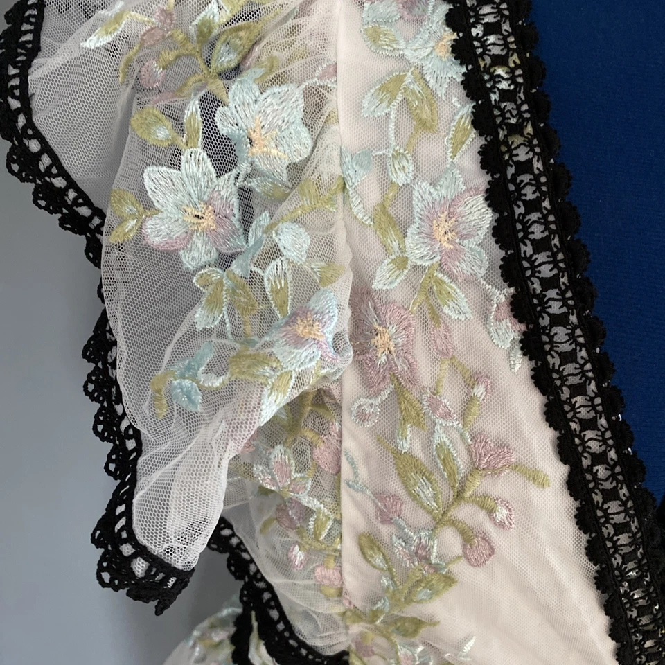 BNWT Ladies COAST Size 10 Floral Embroidered  Chiffon Dress With Lace Trim - Image 2 of 4