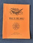 What is the Soul? * c.1910-20 House of David Pamphlet * Benton Harbor MI — photo 1