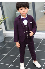 Flower Boys Blazer Vest Pants Bowtie 4Pcs Formal Dress Suit Party Performance