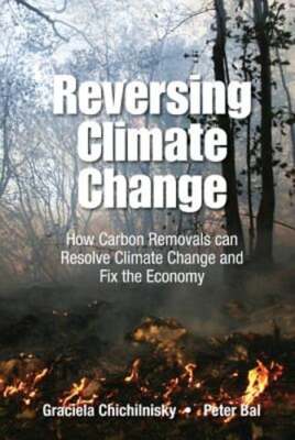 Reversing Climate Change: How Carbon Removals Can Resolve Climate Change And Fix