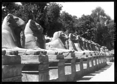 Egypt Part of Avenue of ram headed Sphinxes heading to the gateway - Old Photo
