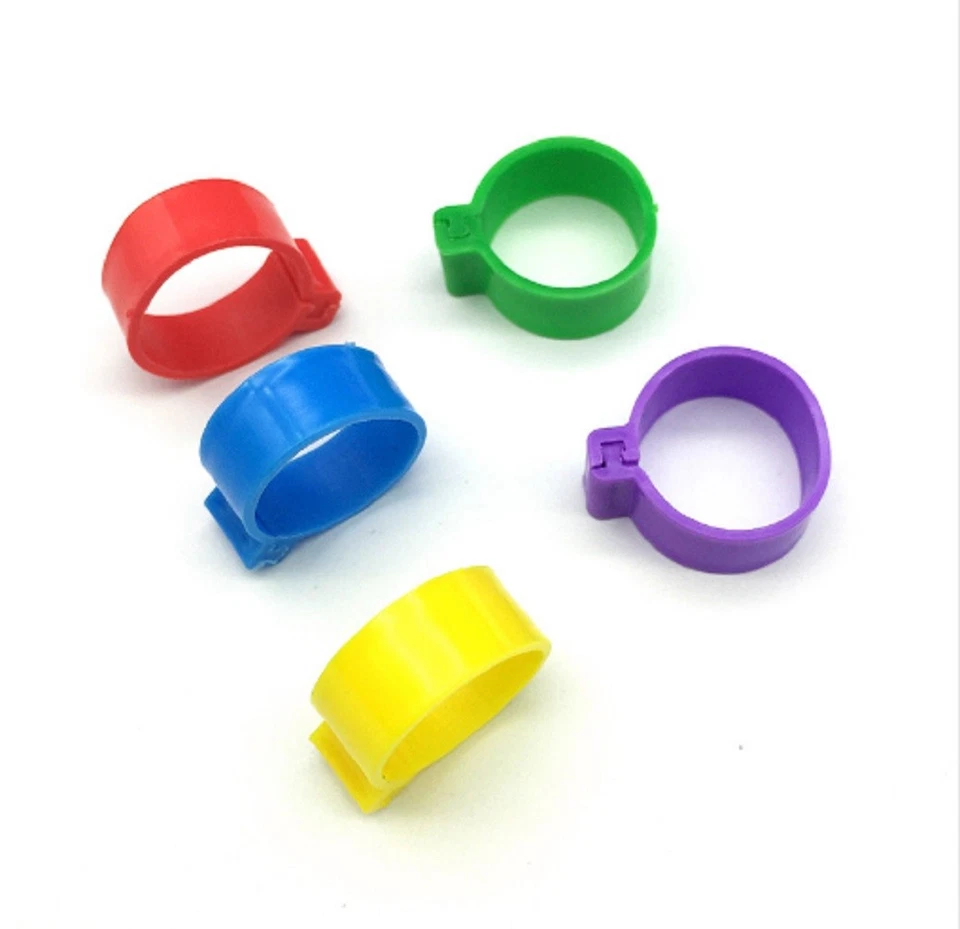 Anillos de patas con clip para aves de corral de 10,25,50 o 100 8 mm pollo incubar paloma faisán pájaro Foto 3 de 4
