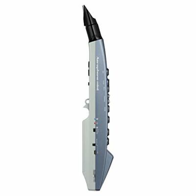 ROLAND Aerophone mini AE-01 Digital Wind Instrument NEW from Japan