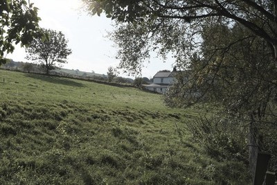 Photo A3 Looking uphill Coanwood Much of this footpath is crowded with m c2017