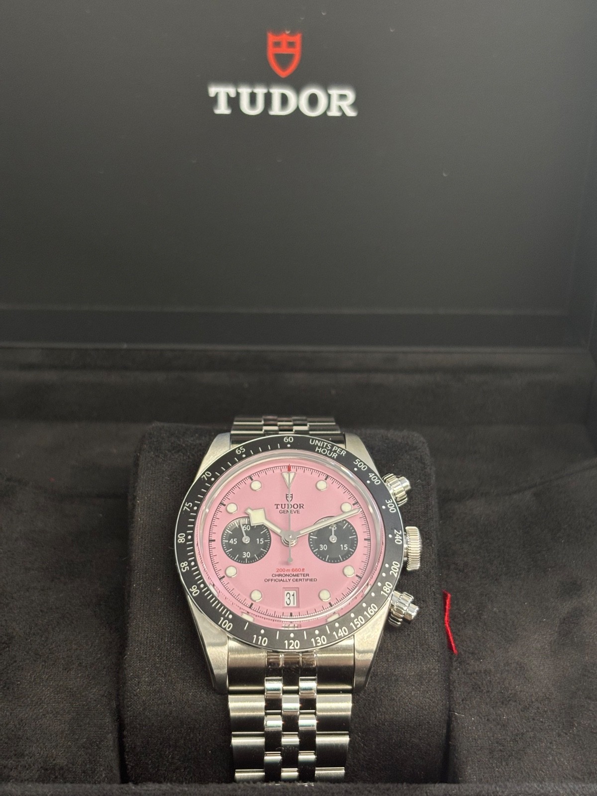 Tudor Black Bay Chrono Miami Pink