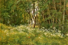 Grove Scenery by Ivan Shishkin Art Giclee Printed Oil Painting Print