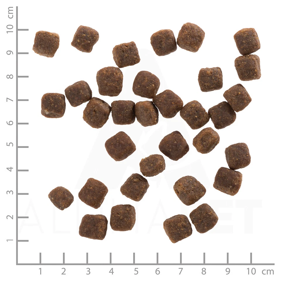 Wolfsblut - Wild Duck Puppy - 2 kg - Hundefutter - Bild 4 von 4