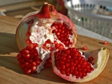 Pomegranate Great Garden Tree By Seed Kingdom 200 Seeds