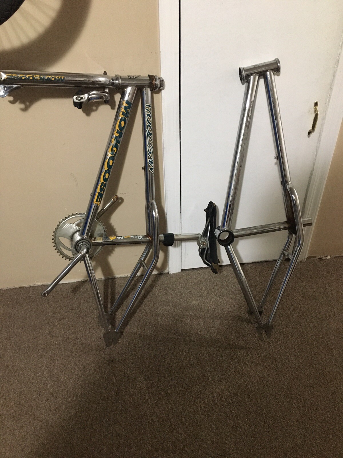 mongoose hooligan