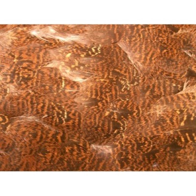 Grouse Feathers for making fishing flies Fast Delivery, Fly Tying, Body Plumage