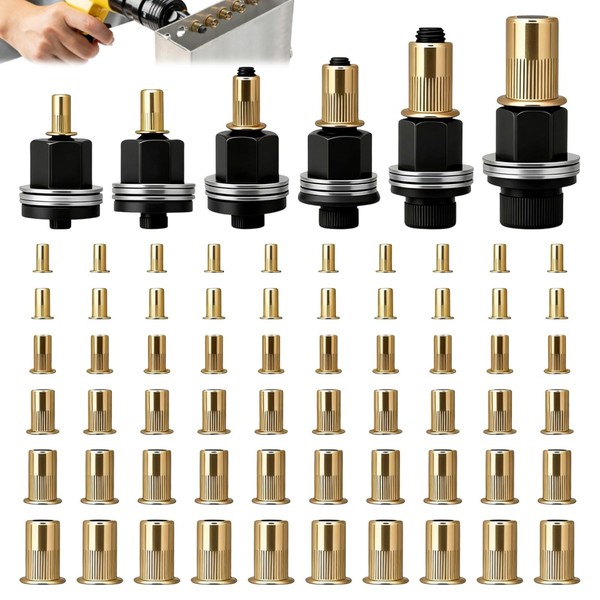 Nietmutternzange Set M3 M4 M5 M6 M8 M10 Mit 60 Nietmuttern-image