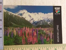 Postcard Mountain Lupins and Mount Sefton NZ